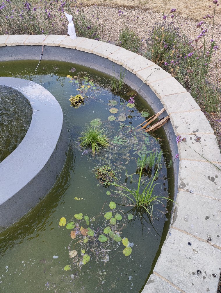 The fountain pond