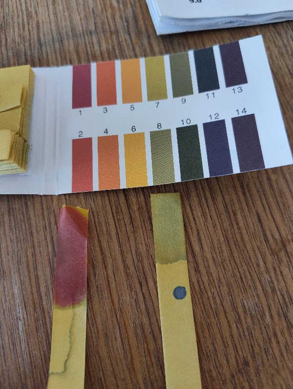 Water test 6 Aug 2026