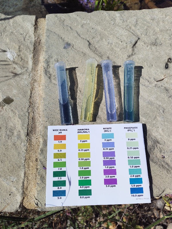 Water test 6 Jul 2026