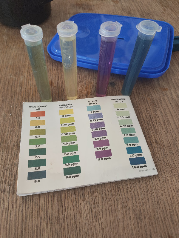 Water test 6 Aug 2026